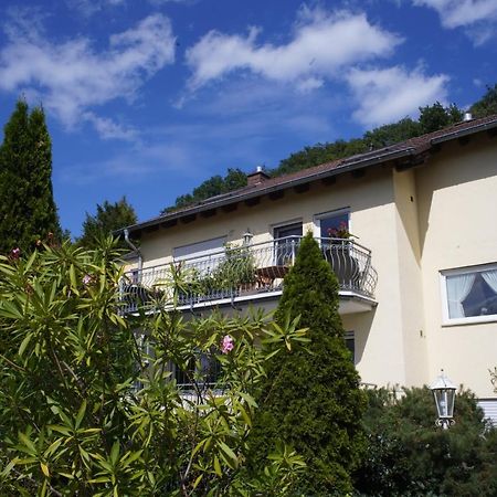 Ferienwohnung Ahrtalblick 辛齐希 外观 照片