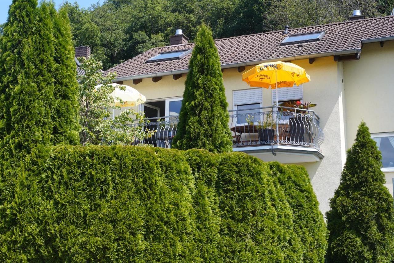 Ferienwohnung Ahrtalblick 辛齐希 外观 照片