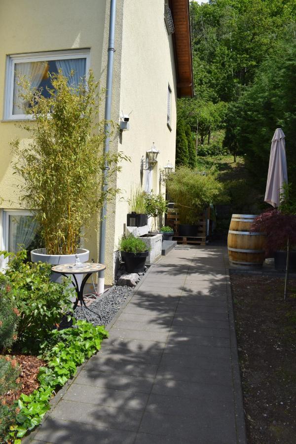 Ferienwohnung Ahrtalblick 辛齐希 外观 照片